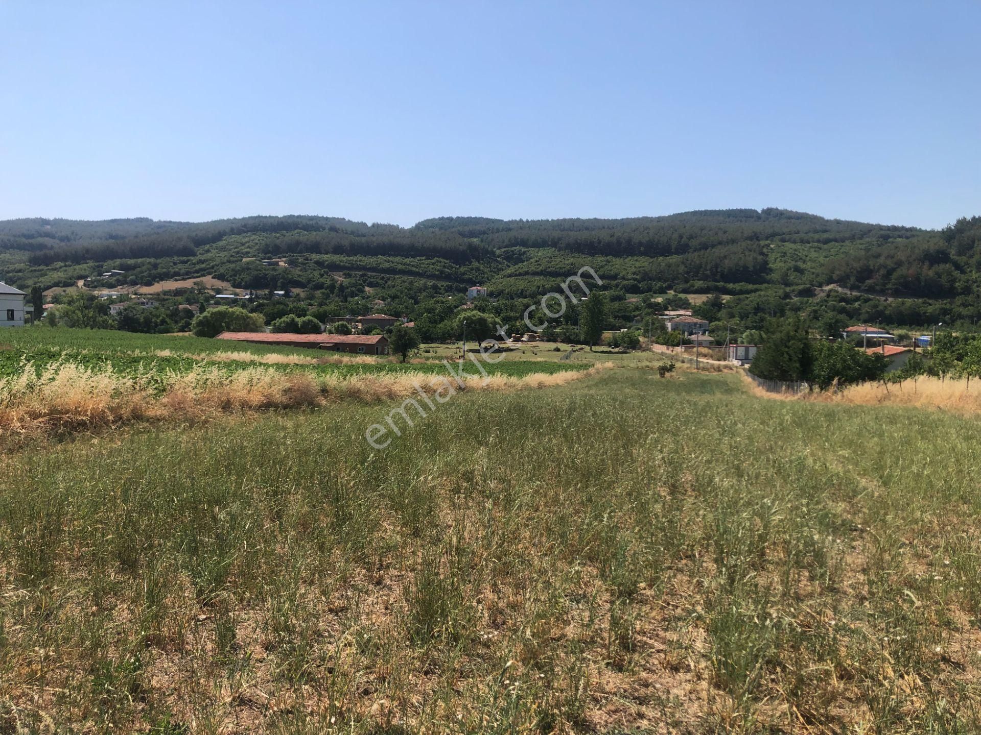 Şarköy De Işık Emlaktan Gölcuk Mah De İki Tapu 4750 M2 0/75 İmarlı Arsa - Görsel 11