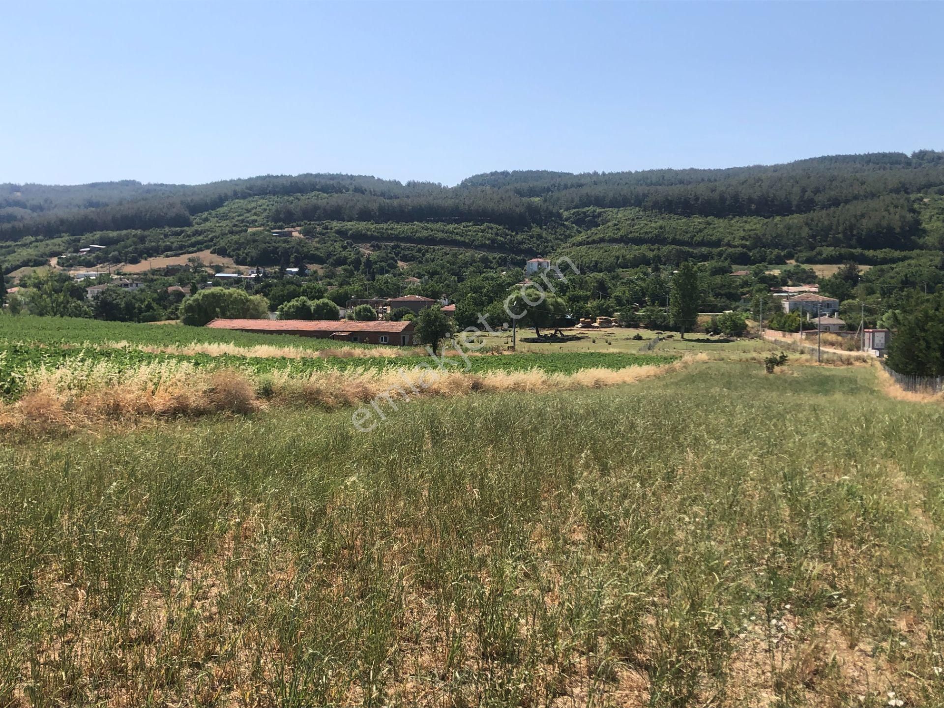 Şarköy De Işık Emlaktan Gölcuk Mah De İki Tapu 4750 M2 0/75 İmarlı Arsa - Görsel 4