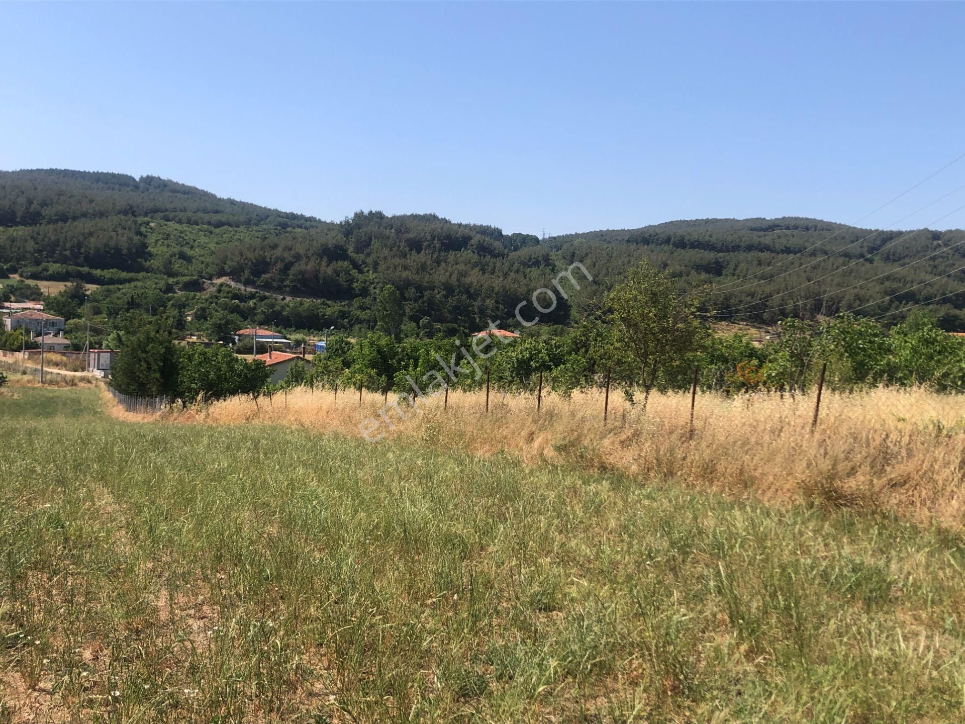 Şarköy De Işık Emlaktan Gölcuk Mah De İki Tapu 4750 M2 0/75 İmarlı Arsa - Görsel 5