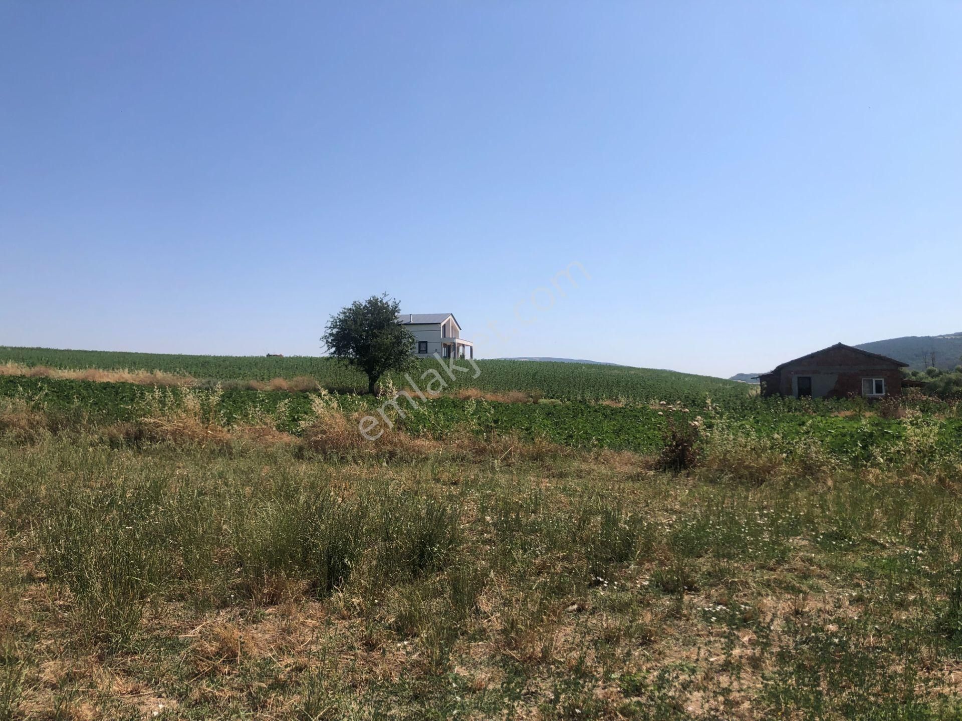 Şarköy De Işık Emlaktan Gölcuk Mah De İki Tapu 4750 M2 0/75 İmarlı Arsa - Görsel 12