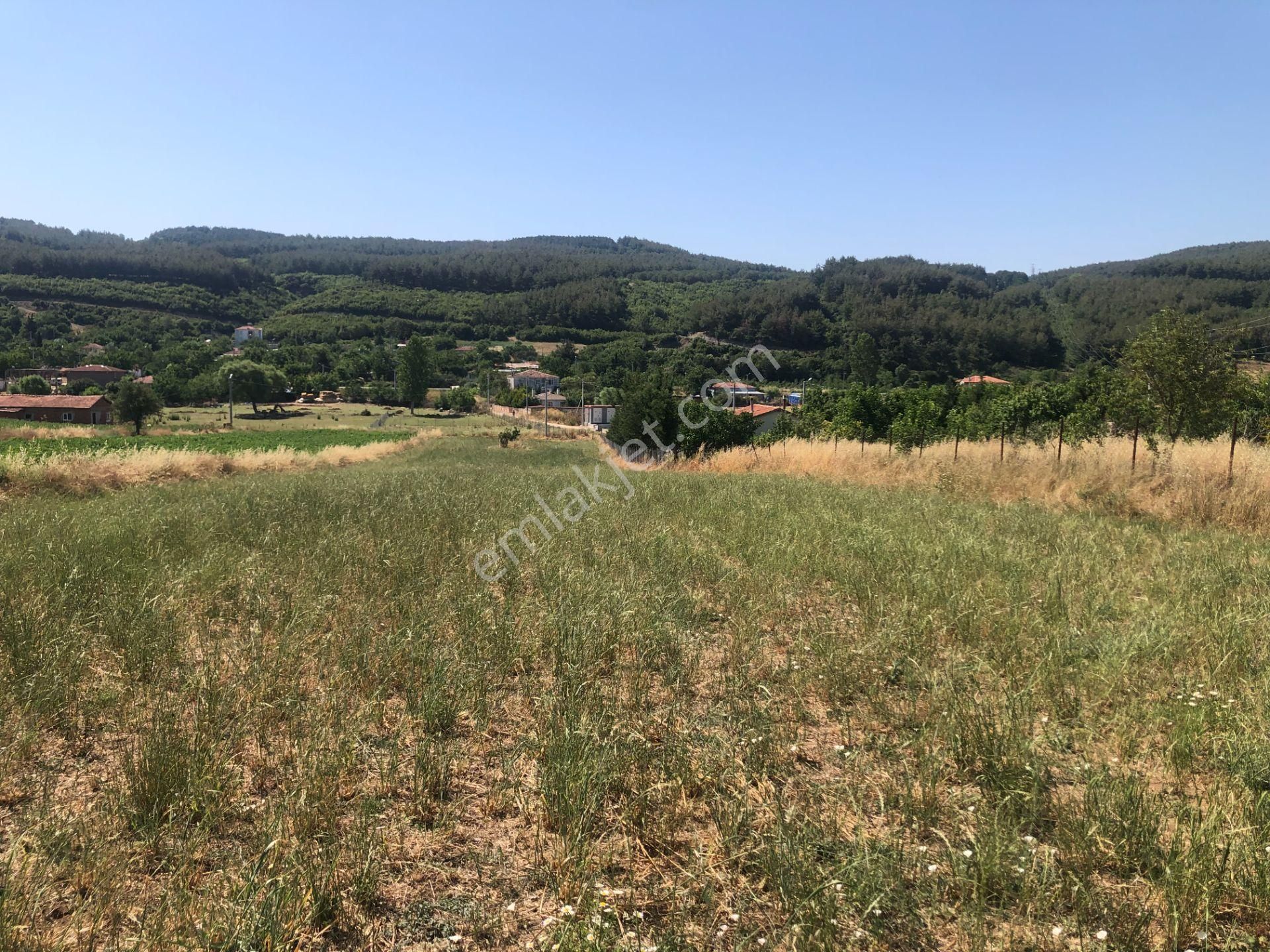 Şarköy De Işık Emlaktan Gölcuk Mah De İki Tapu 4750 M2 0/75 İmarlı Arsa - Görsel 10