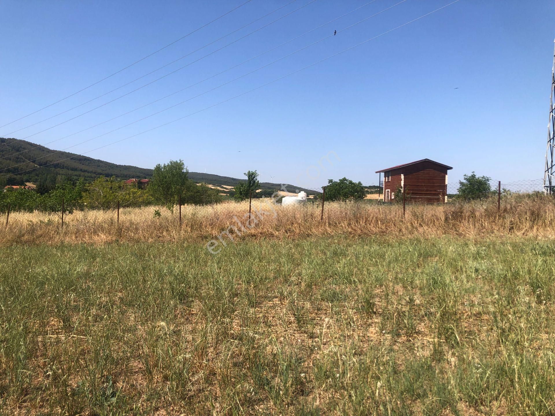 Şarköy De Işık Emlaktan Gölcuk Mah De İki Tapu 4750 M2 0/75 İmarlı Arsa - Görsel 9