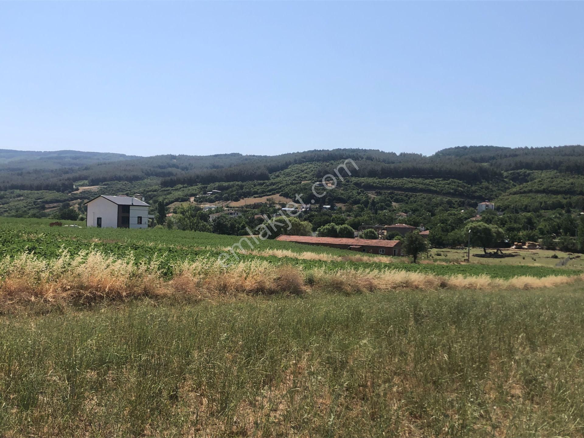 Şarköy De Işık Emlaktan Gölcuk Mah De İki Tapu 4750 M2 0/75 İmarlı Arsa - Görsel 3