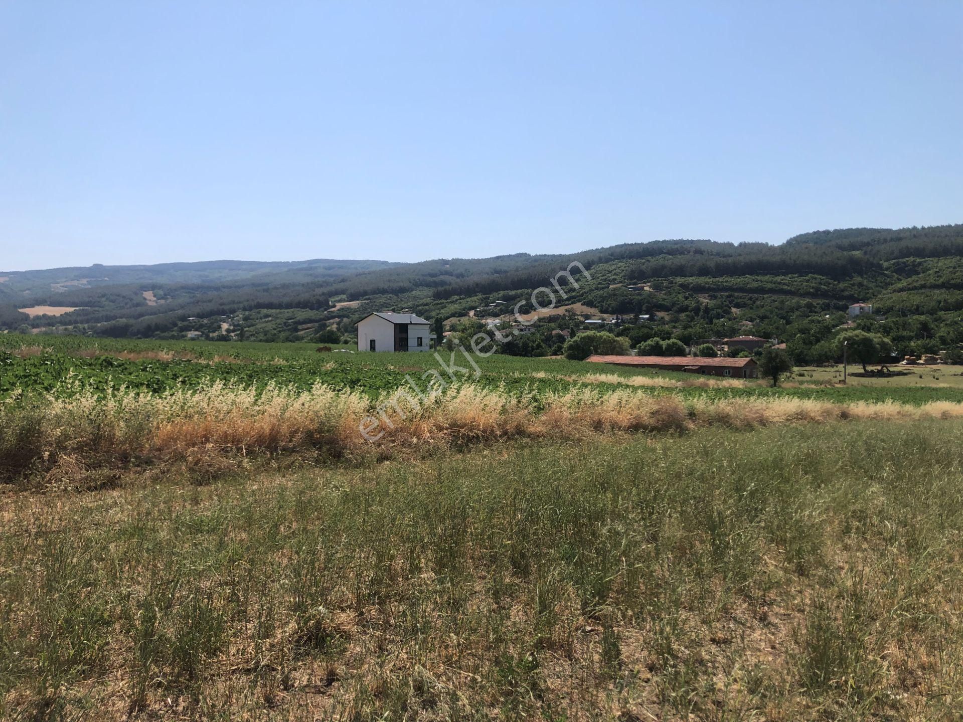 Şarköy De Işık Emlaktan Gölcuk Mah De İki Tapu 4750 M2 0/75 İmarlı Arsa - Görsel 8