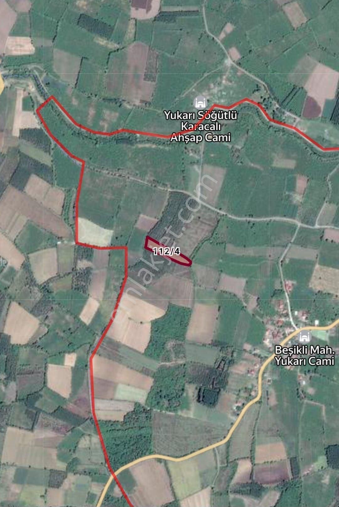Samsun Terme Beşikli'de 6.543 M² Tek Tapulu Yatırımlık Tarla – Fındık Bahçesi Ve İmar Avantajı! - Görsel 9