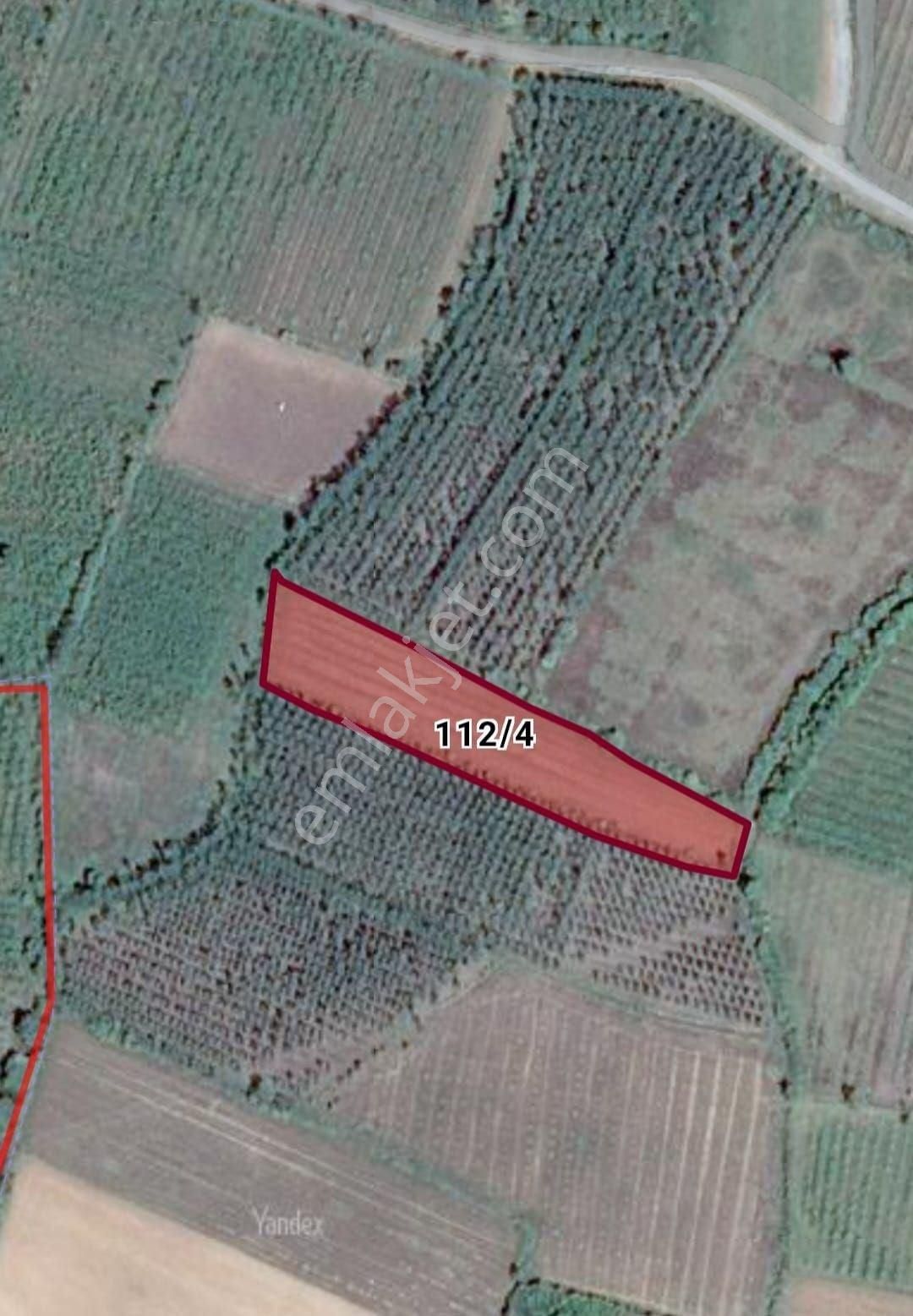 Samsun Terme Beşikli'de 6.543 M² Tek Tapulu Yatırımlık Tarla – Fındık Bahçesi Ve İmar Avantajı! - Görsel 6