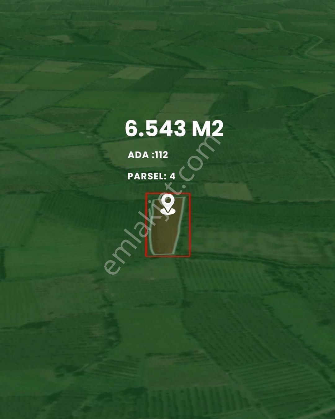 Samsun Terme Beşikli'de 6.543 M² Tek Tapulu Yatırımlık Tarla – Fındık Bahçesi Ve İmar Avantajı! - Görsel 3