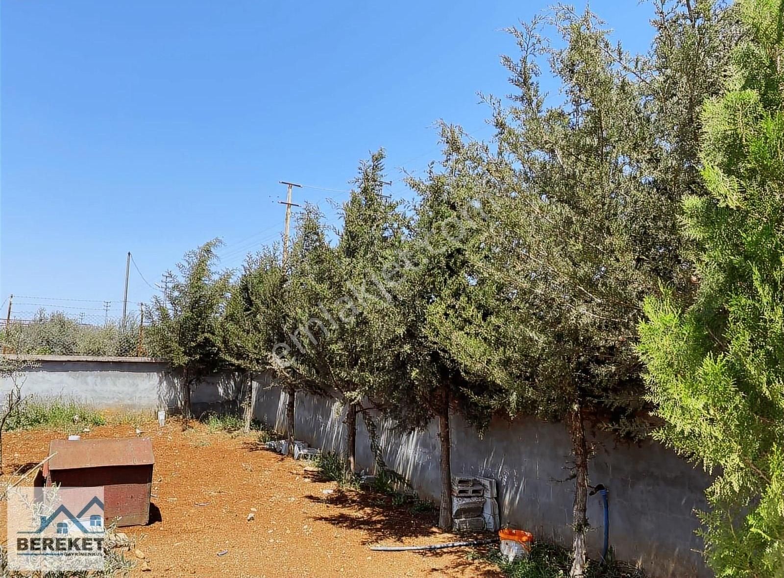 Karataş Emlak'tan Salabiyan Yolunda Satılık Eşyalı Bağevi - Görsel 33