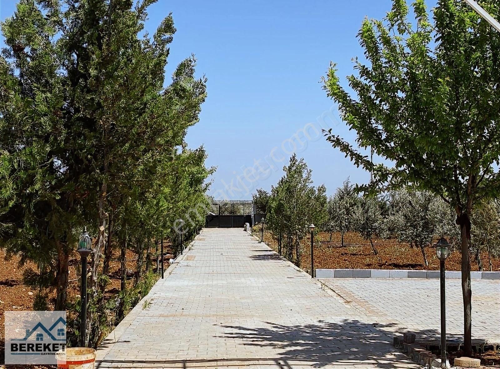 Karataş Emlak'tan Salabiyan Yolunda Satılık Eşyalı Bağevi - Görsel 25