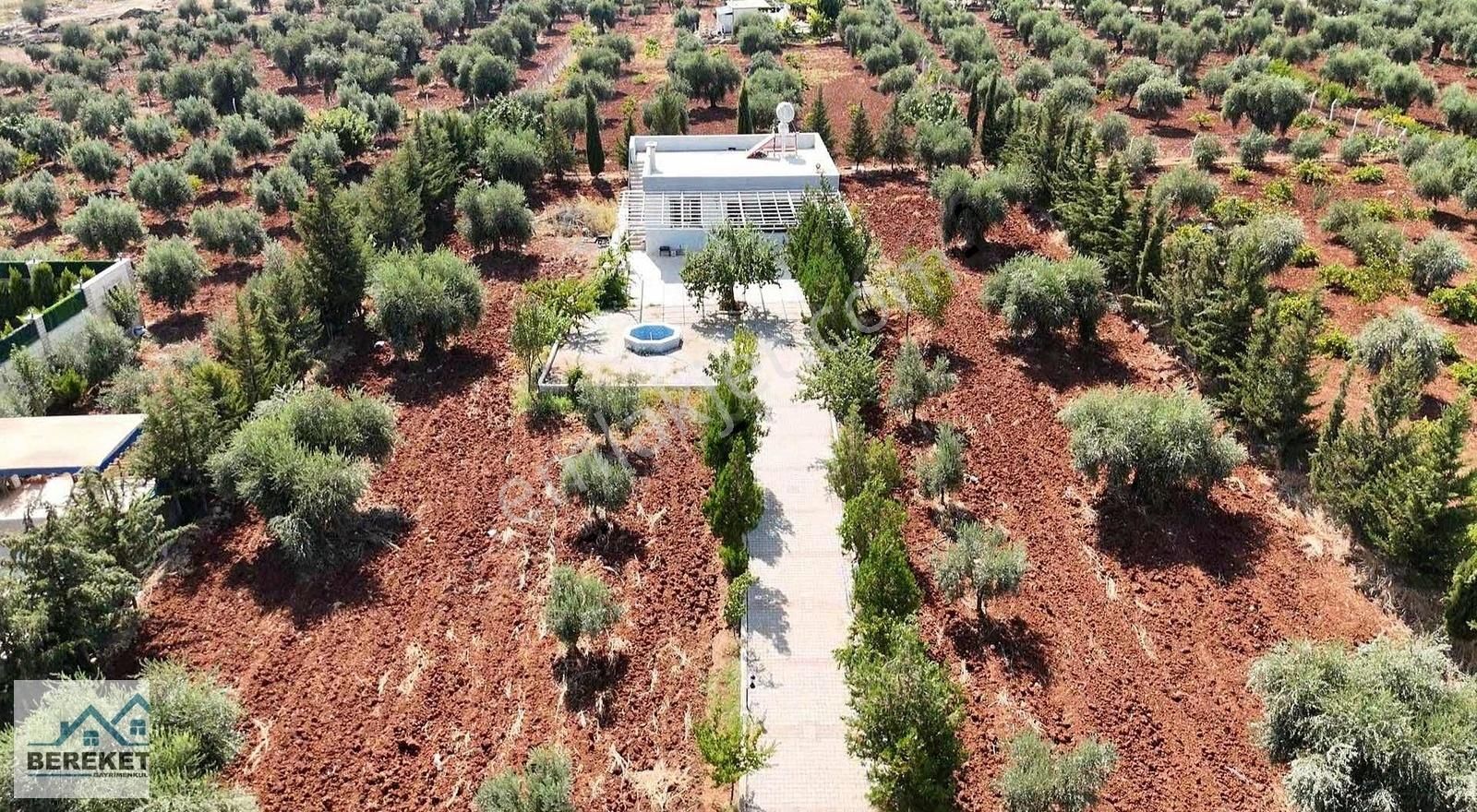 Karataş Emlak'tan Salabiyan Yolunda Satılık Eşyalı Bağevi - Görsel 7