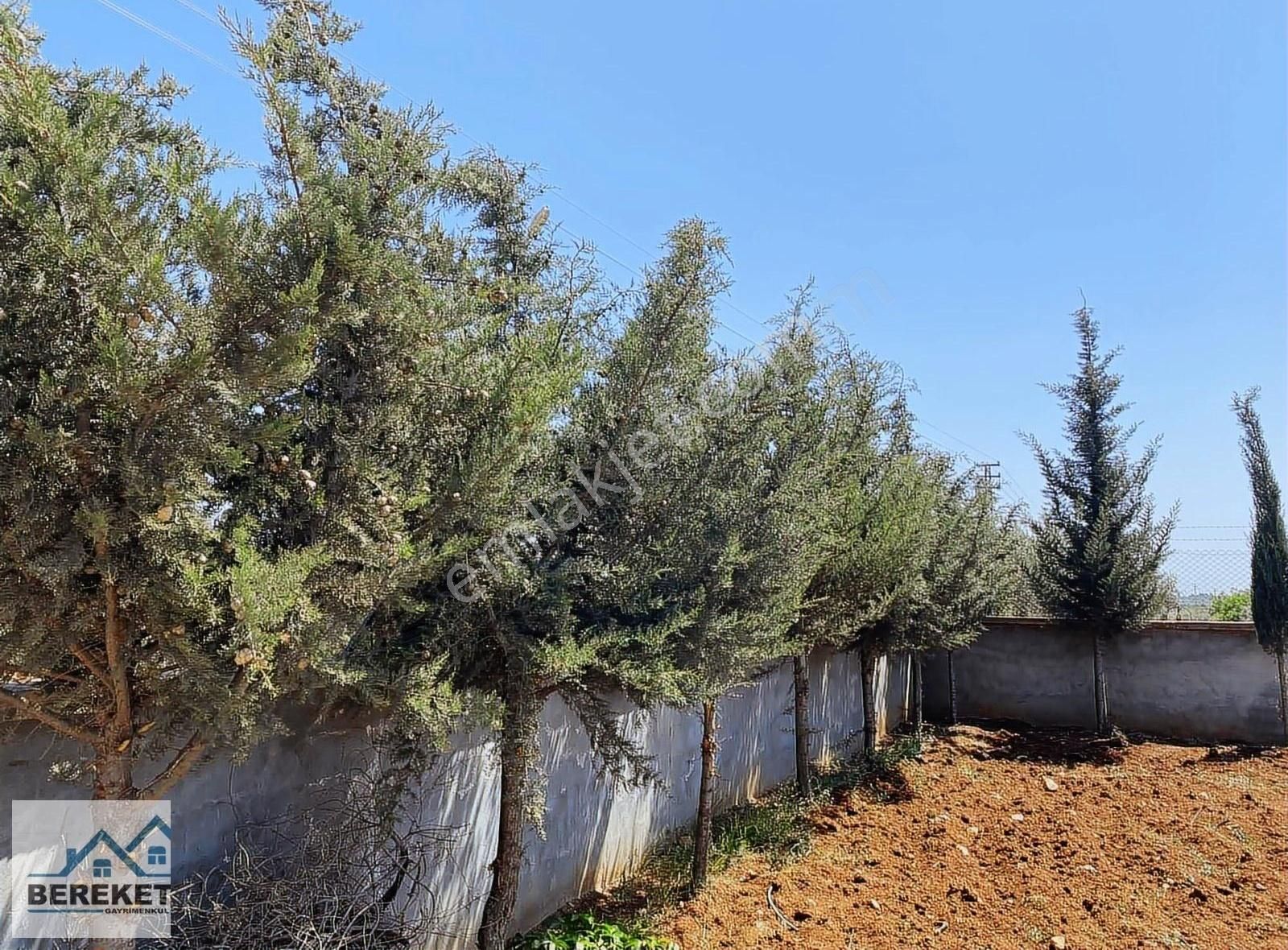 Karataş Emlak'tan Salabiyan Yolunda Satılık Eşyalı Bağevi - Görsel 34