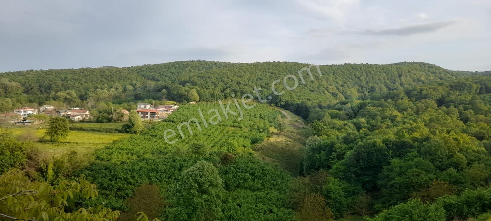 Sakarya Serdivan / 2260 M2 / Satılık Tarla