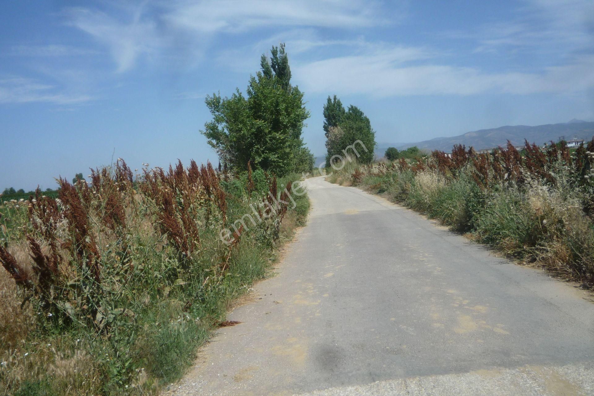 İzmir Torbalı Gold Emlaktan Tirede Satılık Kıymeli Tarla.. - Görsel 3