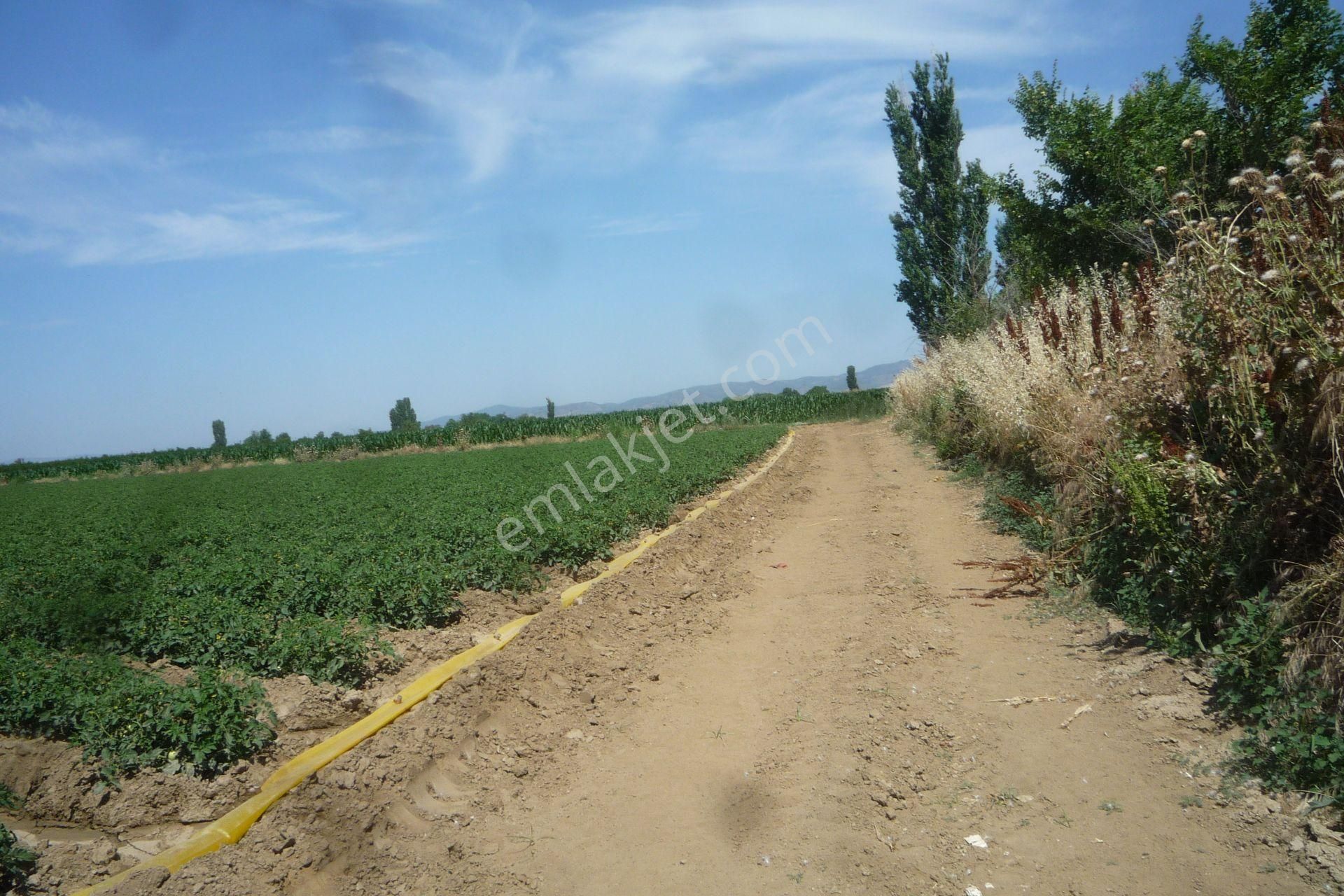 İzmir Torbalı Gold Emlaktan Tirede Satılık Kıymeli Tarla.. - Görsel 9