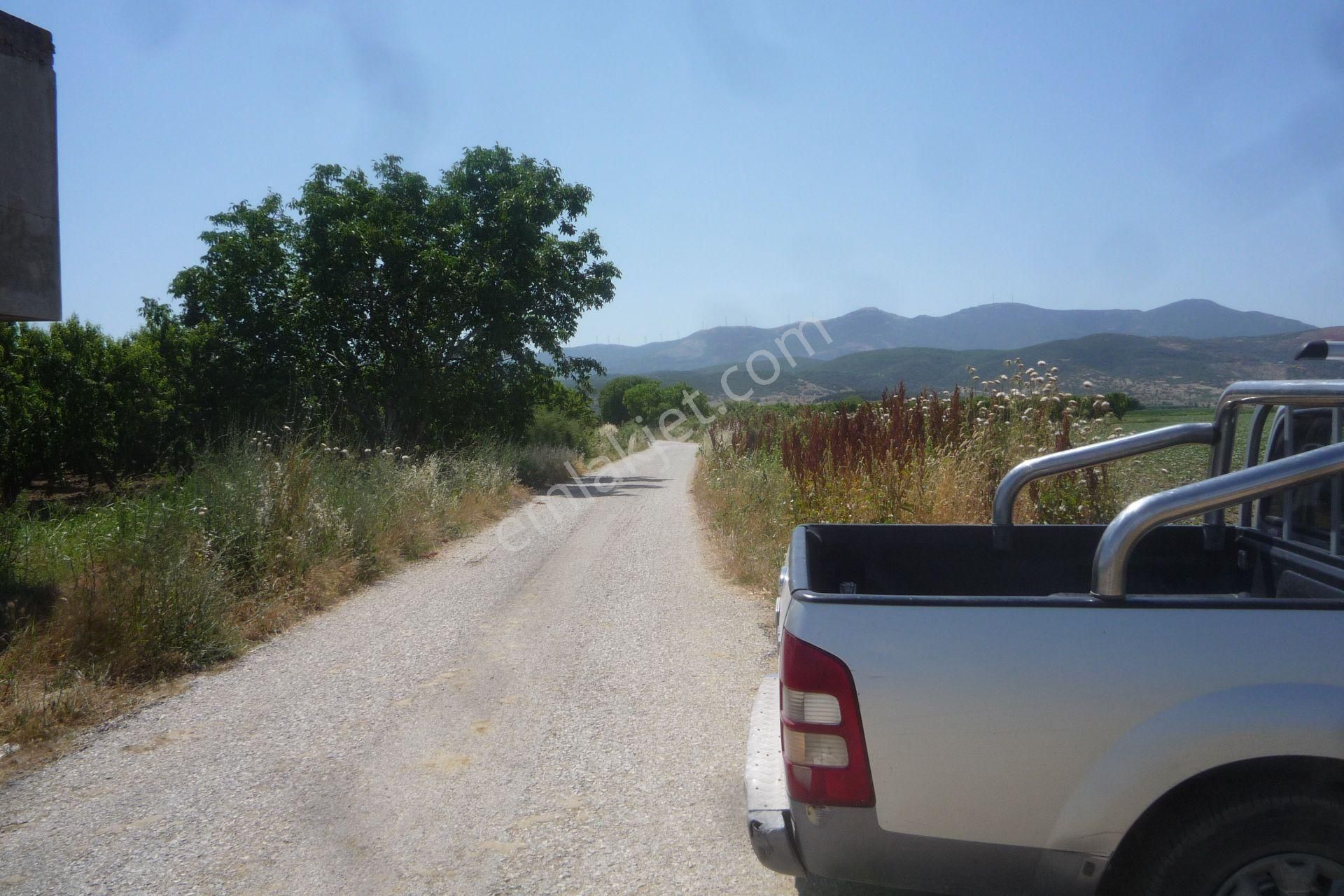 İzmir Torbalı Gold Emlaktan Tirede Satılık Kıymeli Tarla.. - Görsel 2