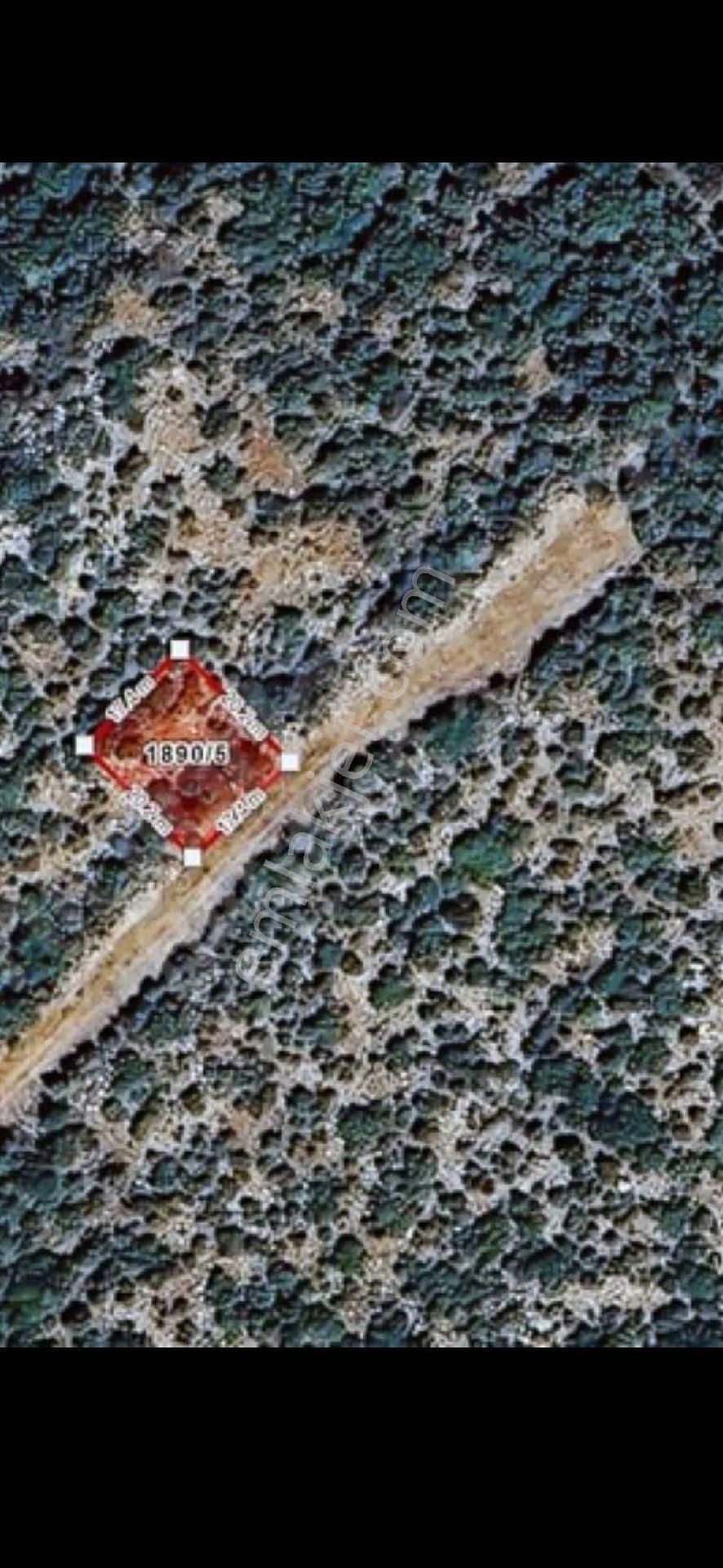Didim Arsa Villa
