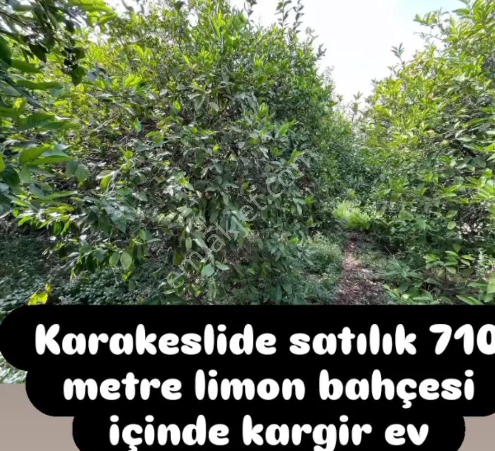 Mersin Erdemli Kösbucağı Karakeşli Mah İmarlı Satılık Arsa