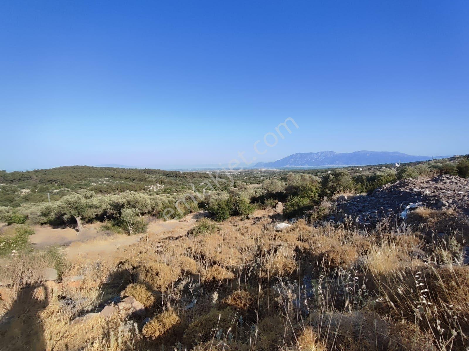 Satılık Tarla Manisa Kale Köyünde 9050 M2 - Görsel 8