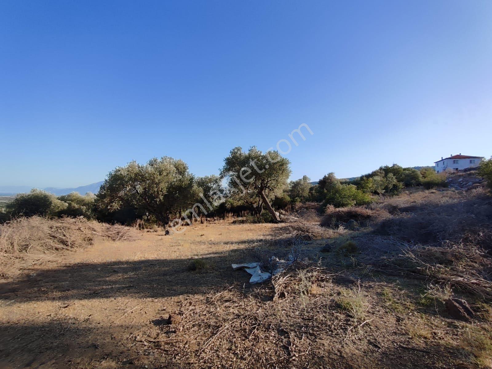 Satılık Tarla Manisa Kale Köyünde 9050 M2 - Görsel 27