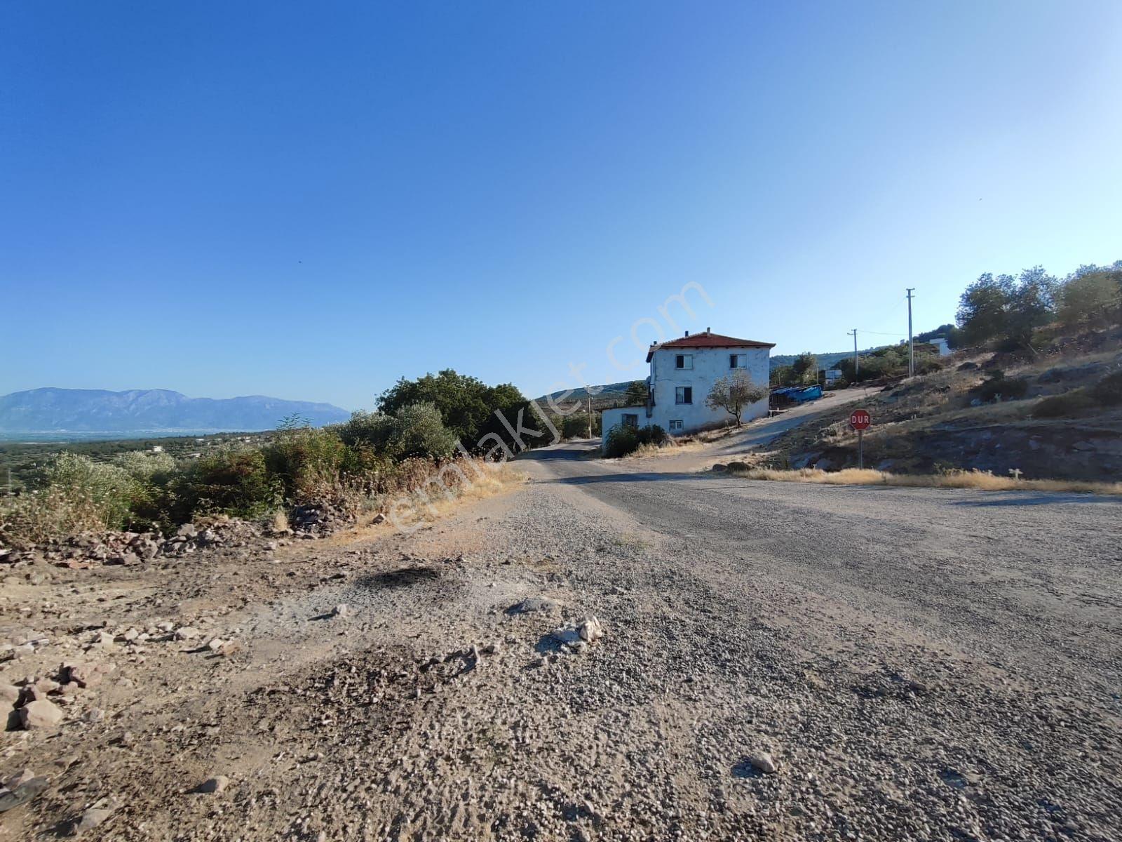 Satılık Tarla Manisa Kale Köyünde 9050 M2 - Görsel 2