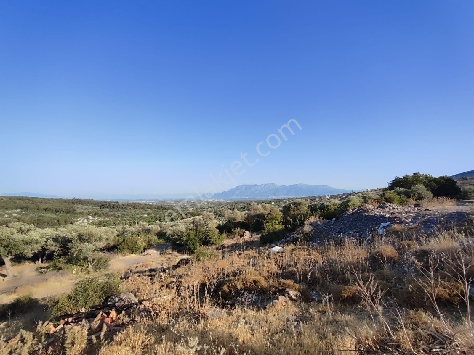 Satılık Tarla Manisa Kale Köyünde 9050 M2 - Görsel 31