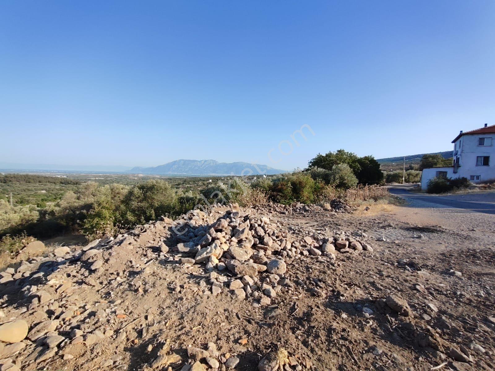 Satılık Tarla Manisa Kale Köyünde 9050 M2 - Görsel 34