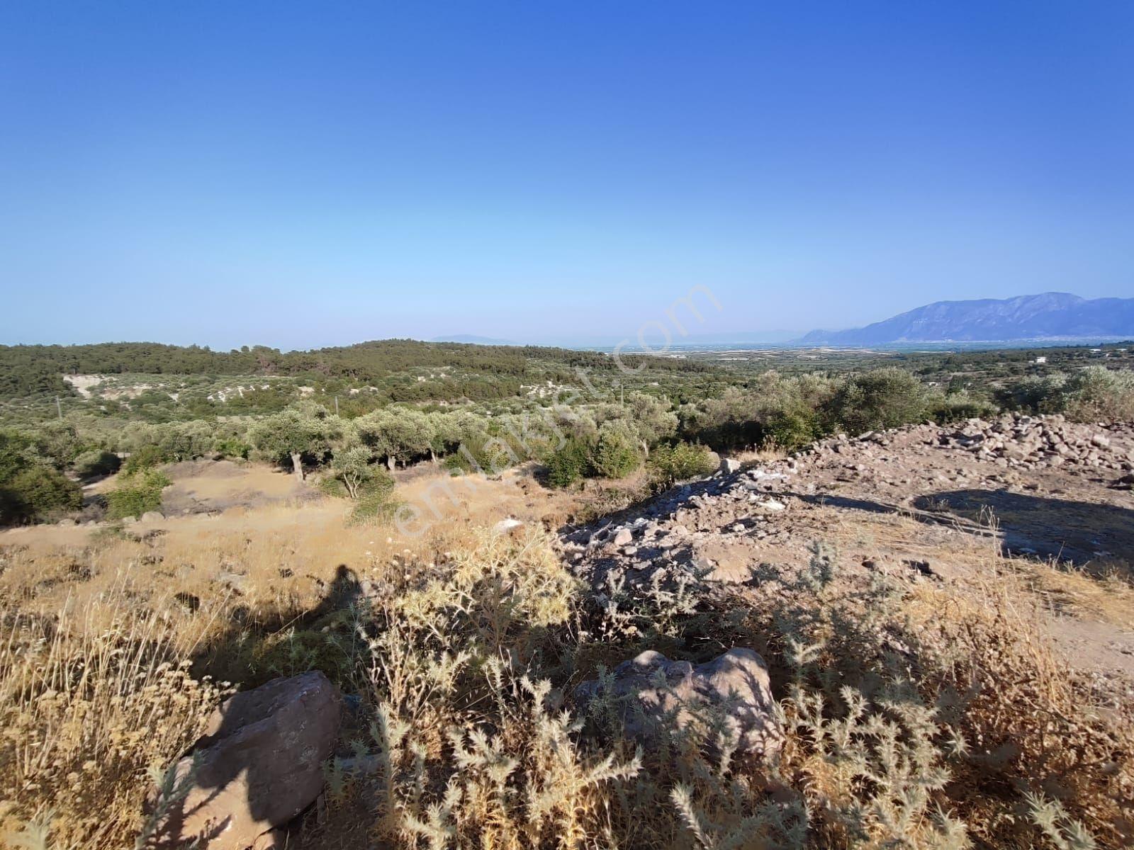 Satılık Tarla Manisa Kale Köyünde 9050 M2 - Görsel 5