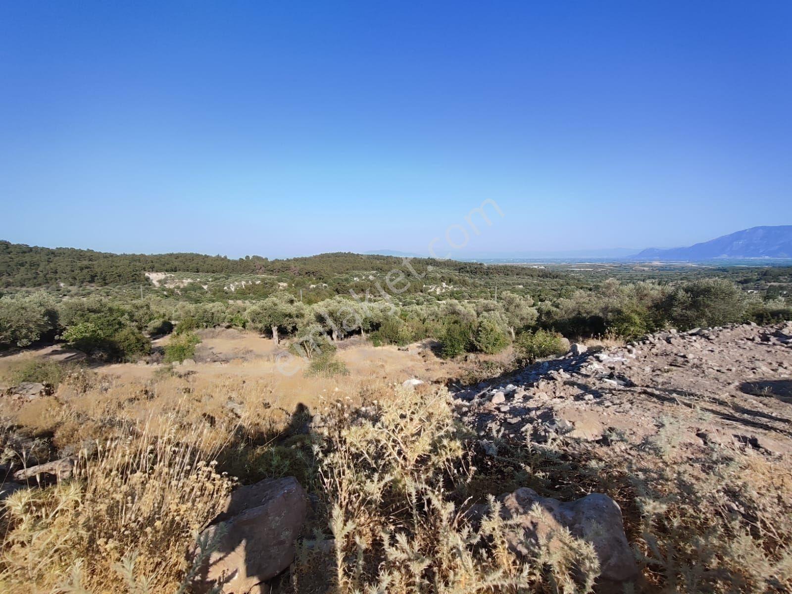 Satılık Tarla Manisa Kale Köyünde 9050 M2 - Görsel 4
