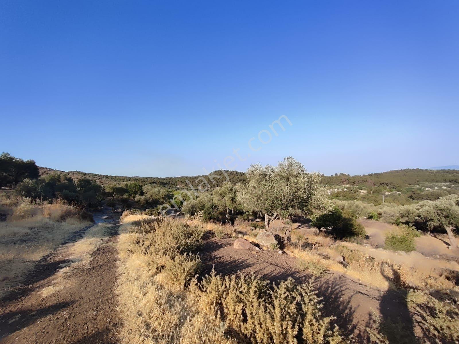 Satılık Tarla Manisa Kale Köyünde 9050 M2 - Görsel 32