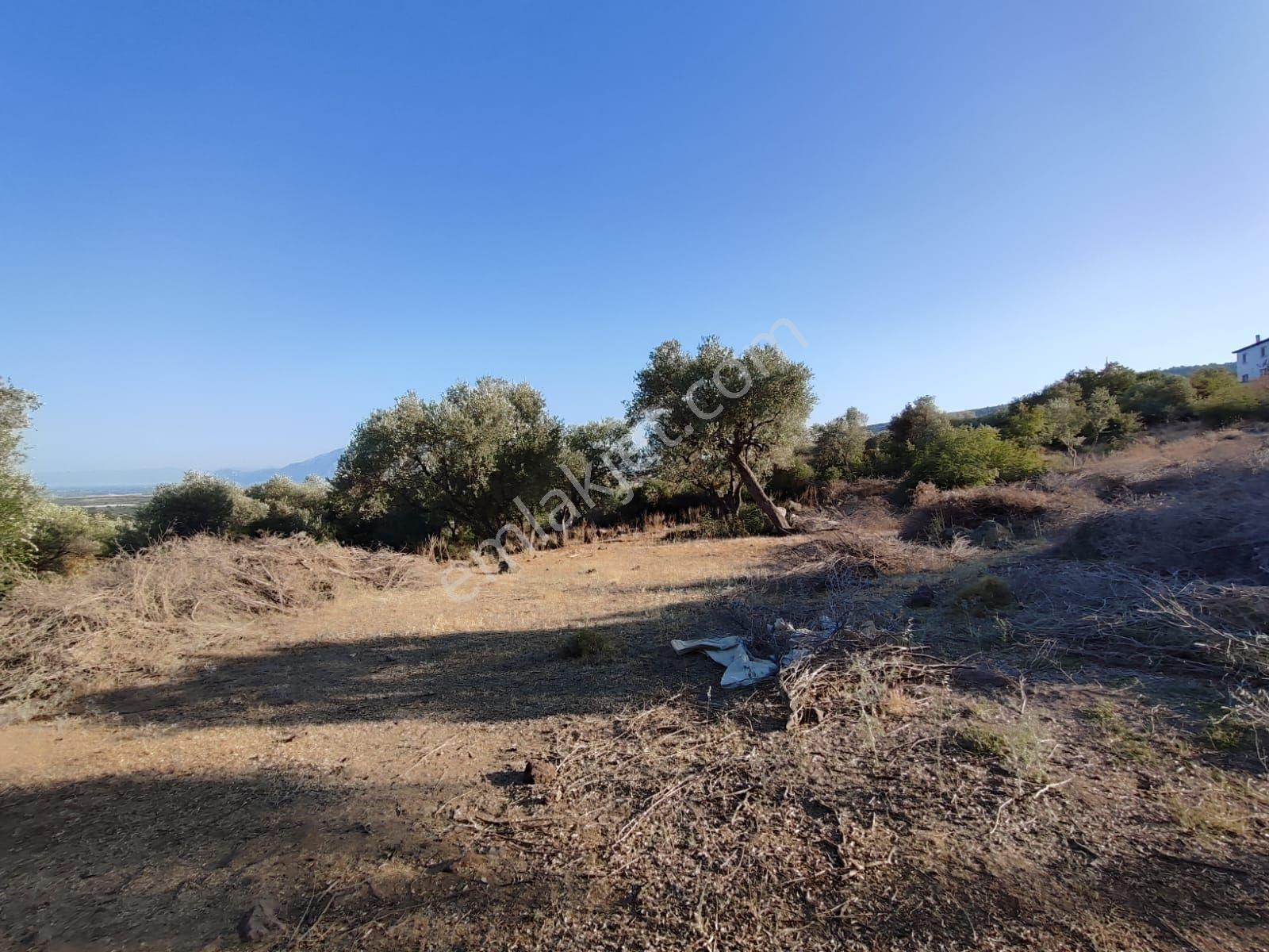 Satılık Tarla Manisa Kale Köyünde 9050 M2 - Görsel 28