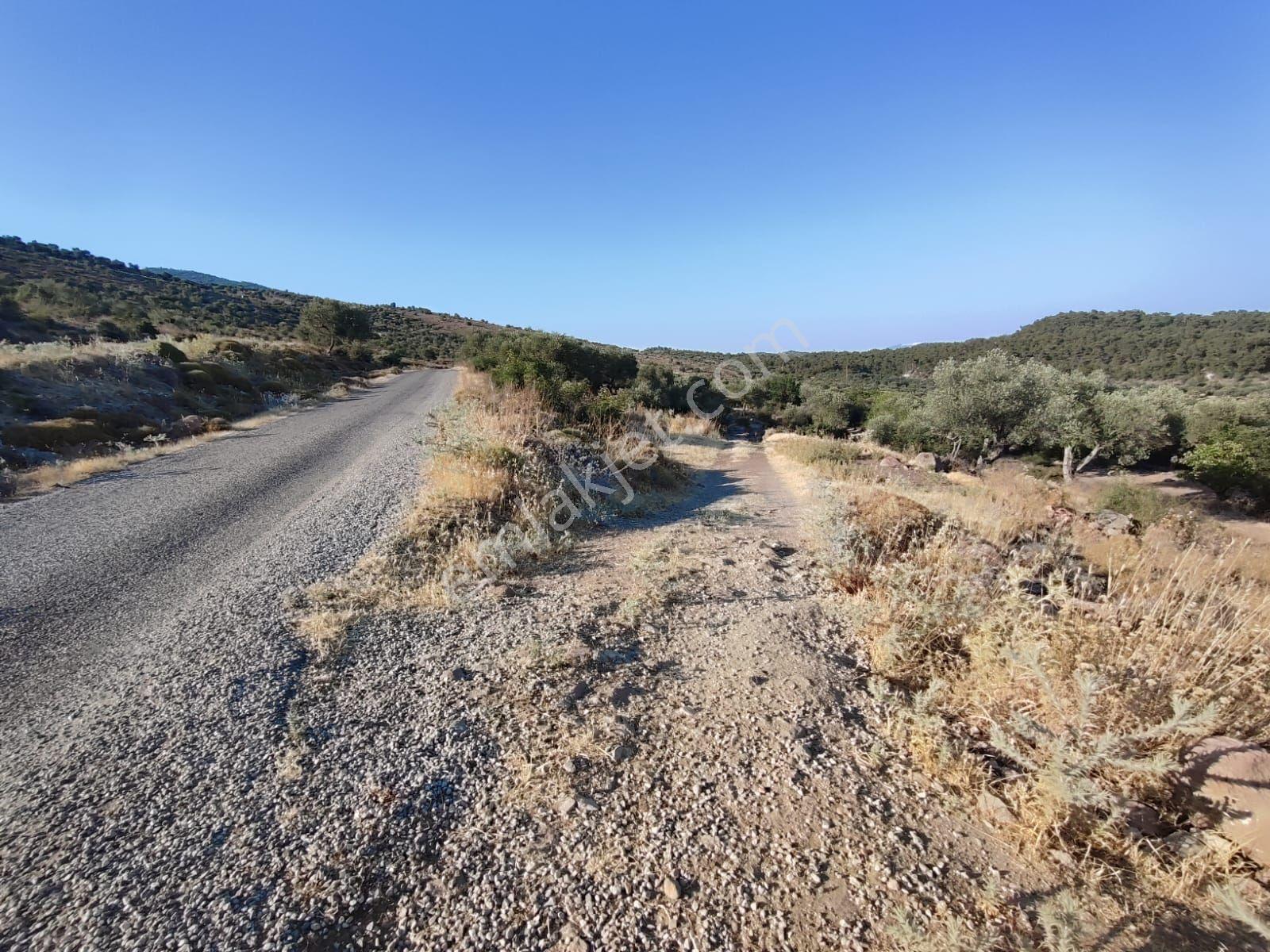 Satılık Tarla Manisa Kale Köyünde 9050 M2 - Görsel 3