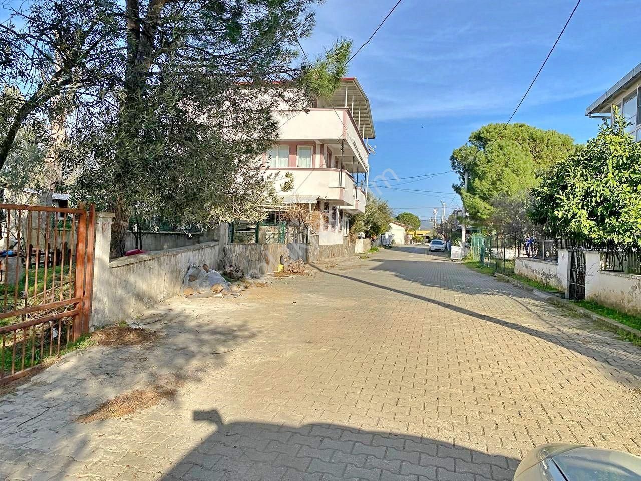 Uytun'dan Kızılkeçili Köyünde İmar Sınırında Satılık Zeytinlik