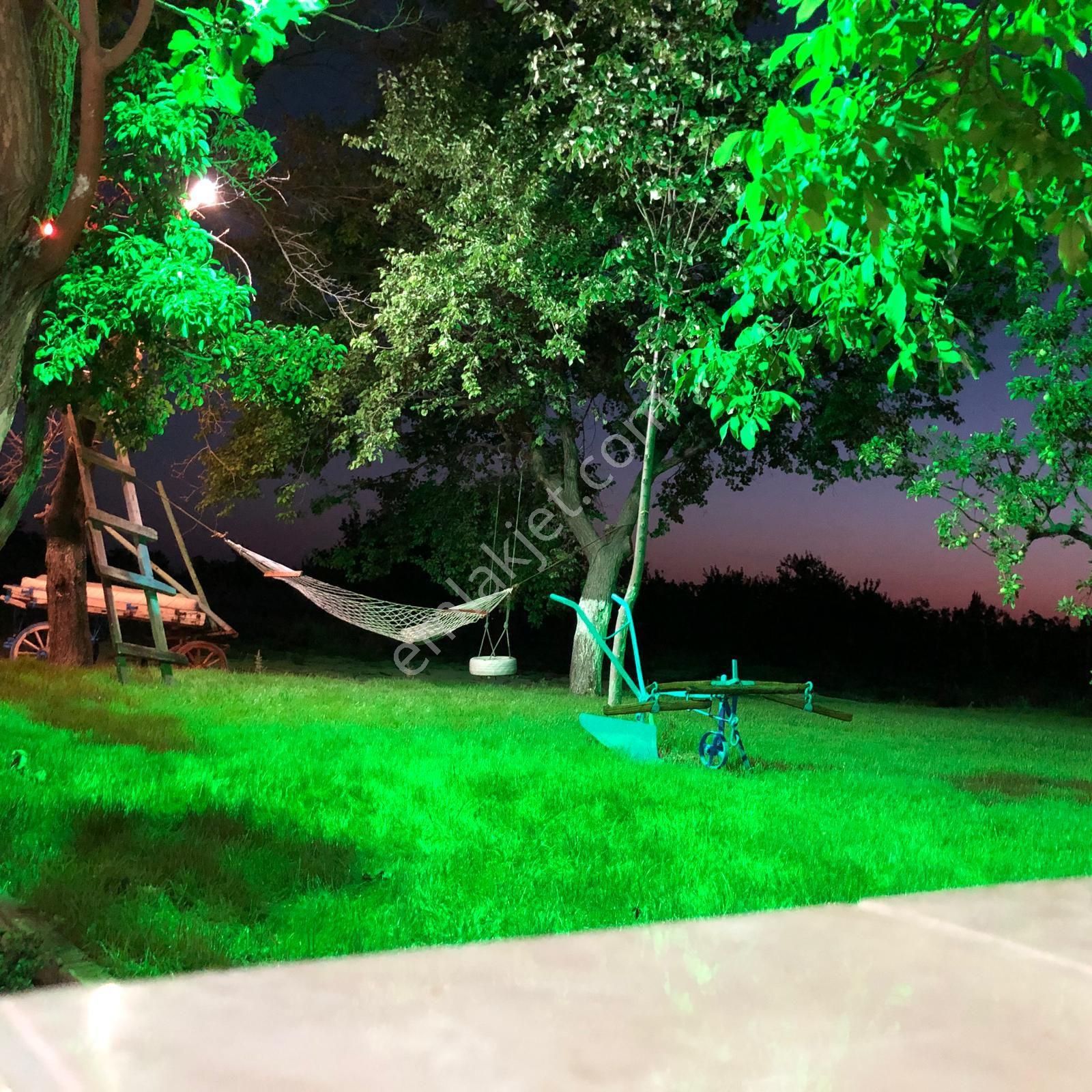 Niğde Bor Bentkavak Da Satılık Bahçeli Müstakil Ev - Görsel 9