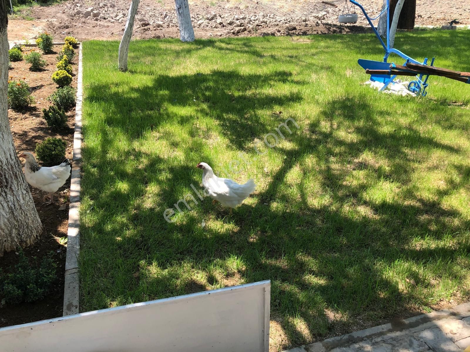 Niğde Bor Bentkavak Da Satılık Bahçeli Müstakil Ev - Görsel 4