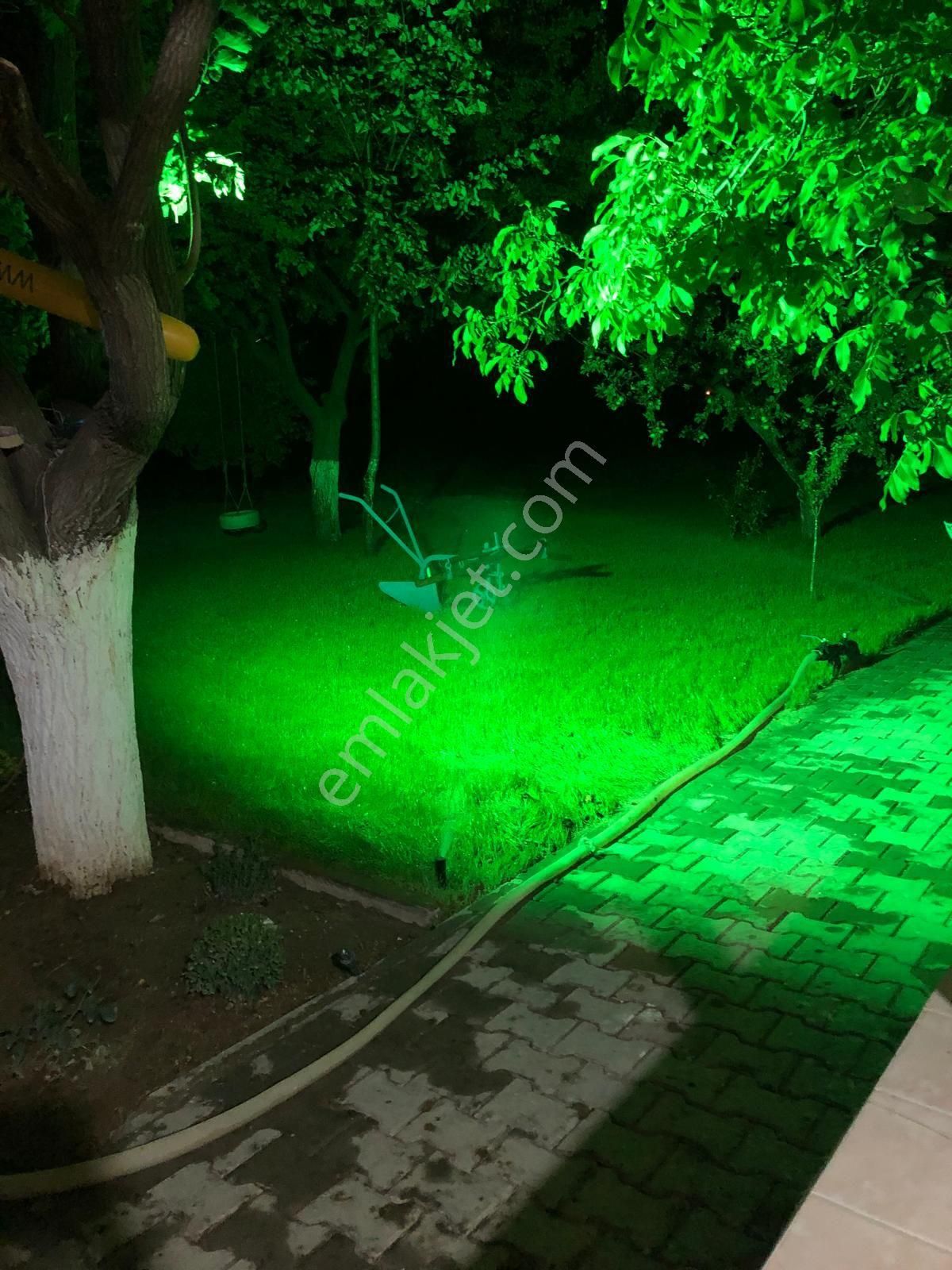 Niğde Bor Bentkavak Da Satılık Bahçeli Müstakil Ev - Görsel 13