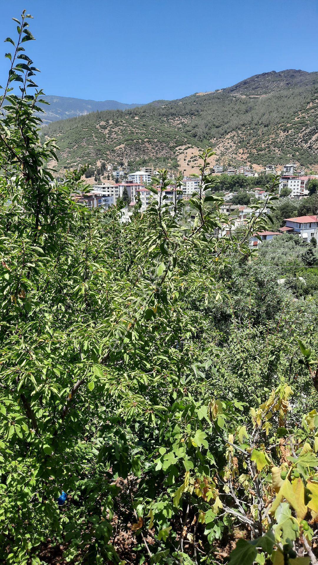 Üç Katlı Büyük Arsalı Yaylalık - Görsel 20