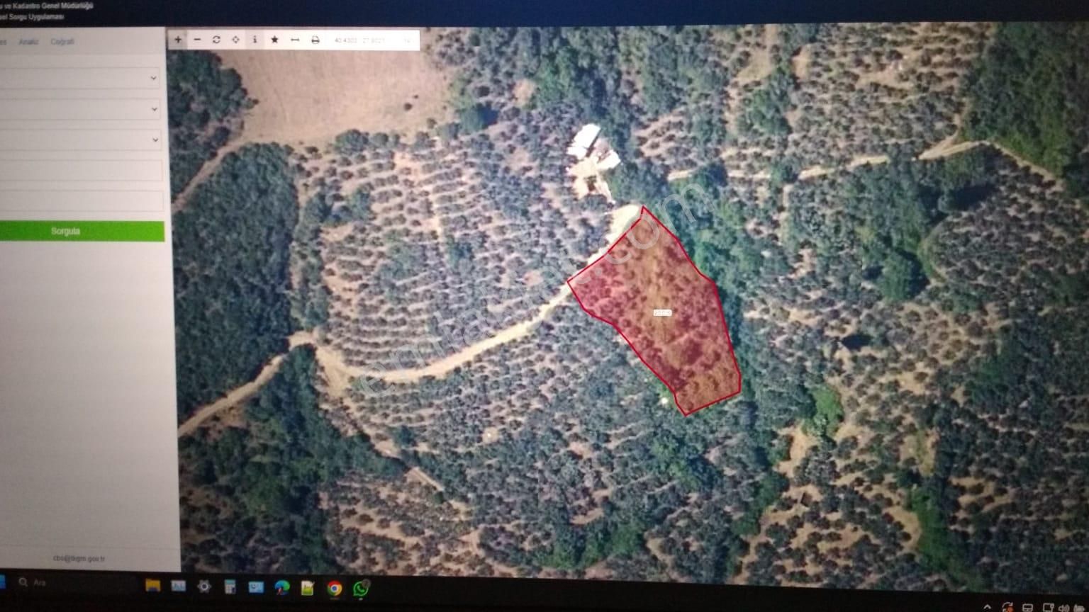 Erdek Atatürk Mah. Arnavutköy / Katikirman Satılık Zeytinlik
