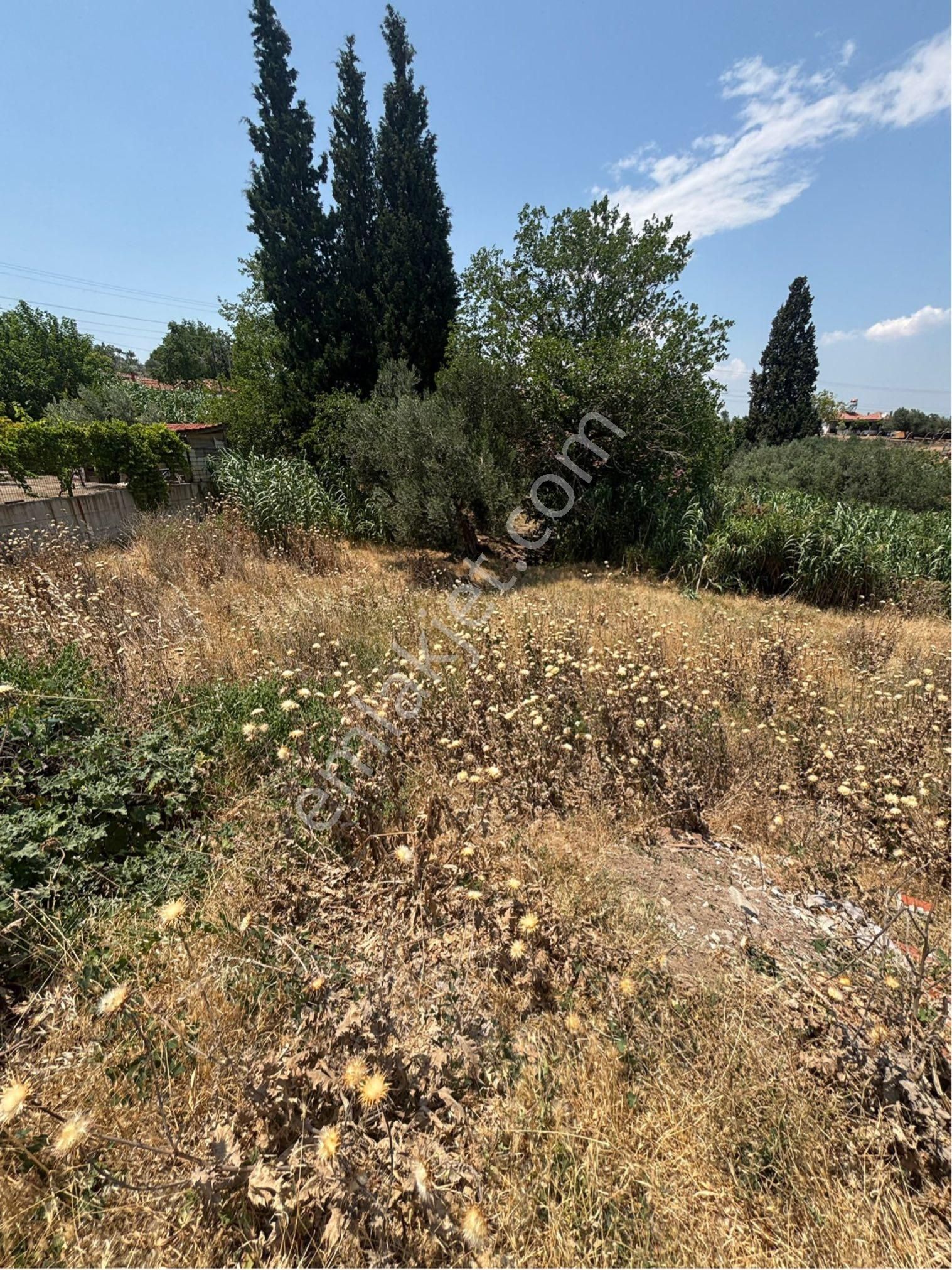Manisa Saruhanlı Halitpaşada Arsa