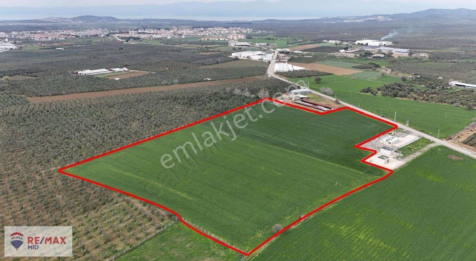 Remax Mıd' Den Gömeçte Asfalt Yola Cephelı 53 Dönüm Tarla