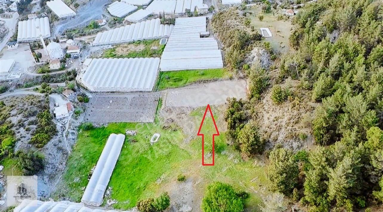 Kumluca Ortaköy De Satılık Hazır Sera Yeri -tarla - Görsel 4