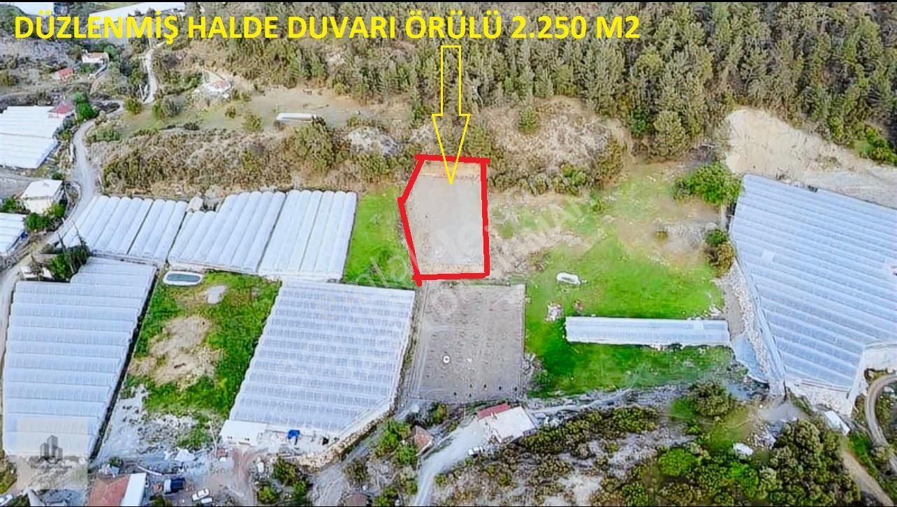 Kumluca Ortaköy De Satılık Hazır Sera Yeri -tarla - Görsel 2