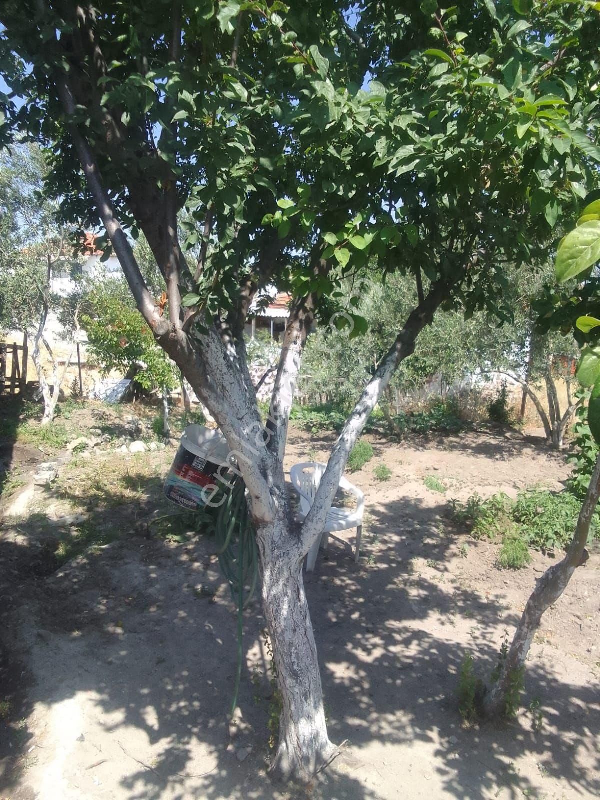 Arpaseki Satılık Müstakil Ev