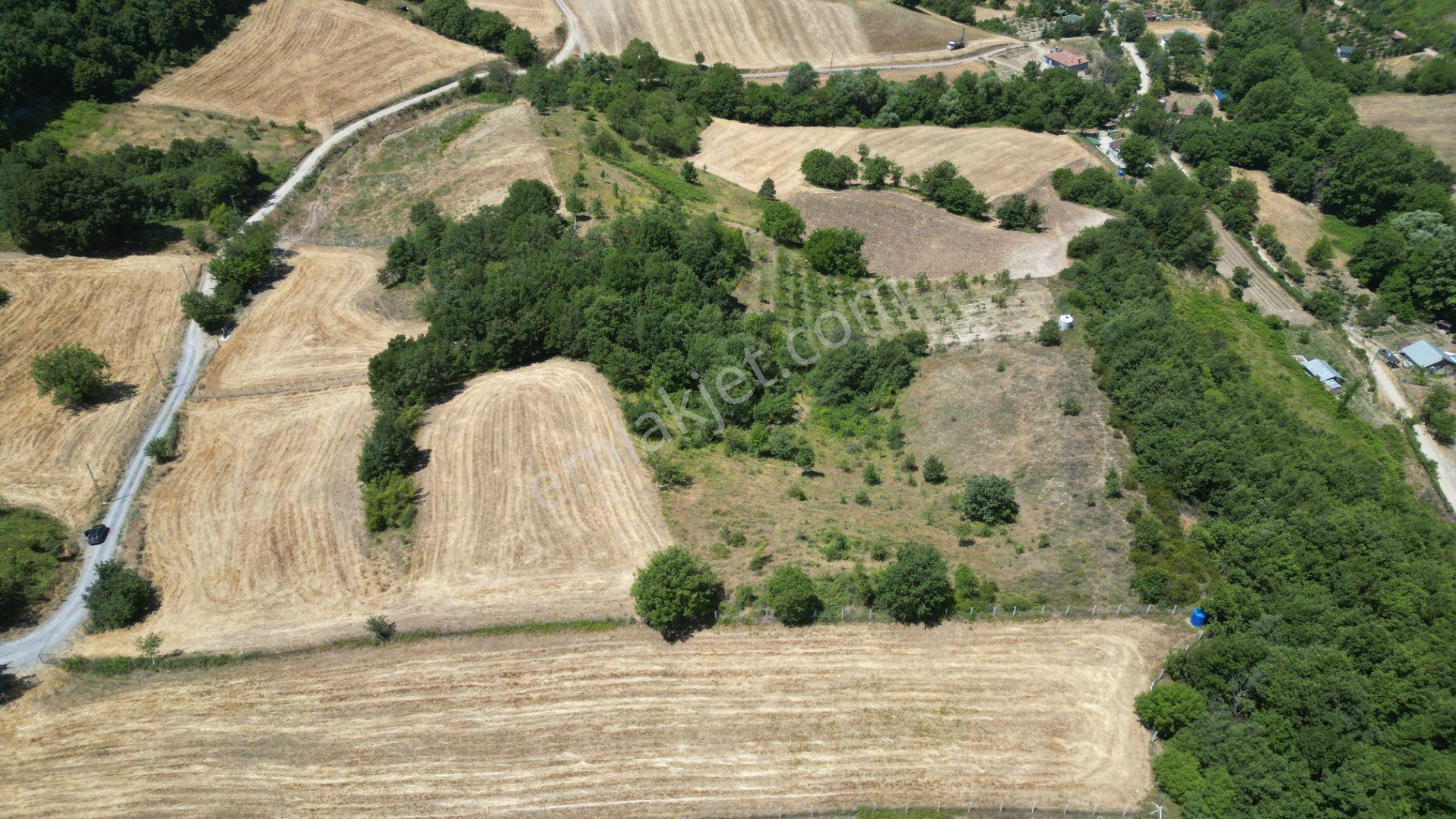 Kocaeli Karamürsel Avcıköy Satılık Tarla 8791 M2 - Görsel 2