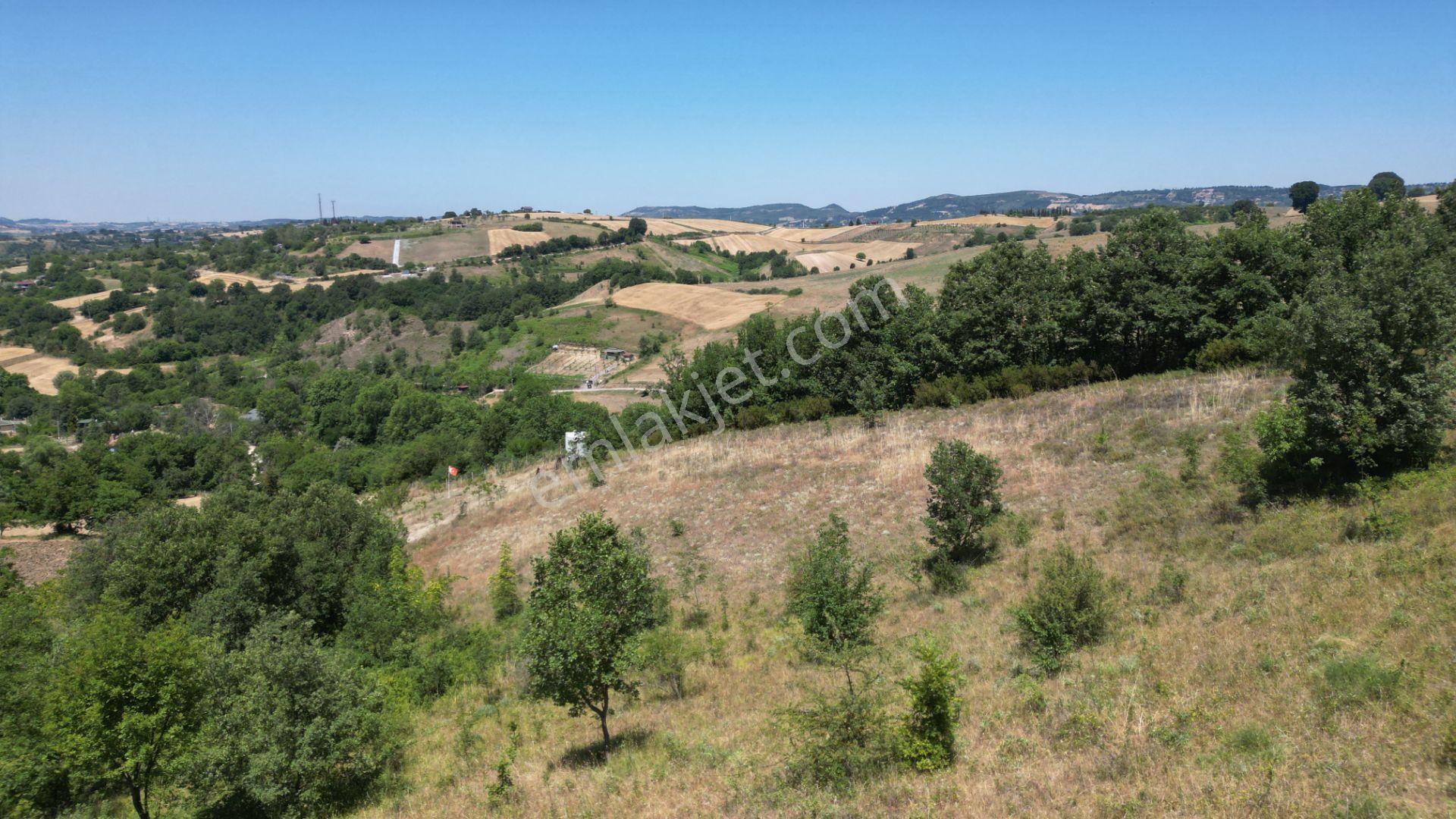 Kocaeli Karamürsel Avcıköy Satılık Tarla 8791 M2 - Görsel 13