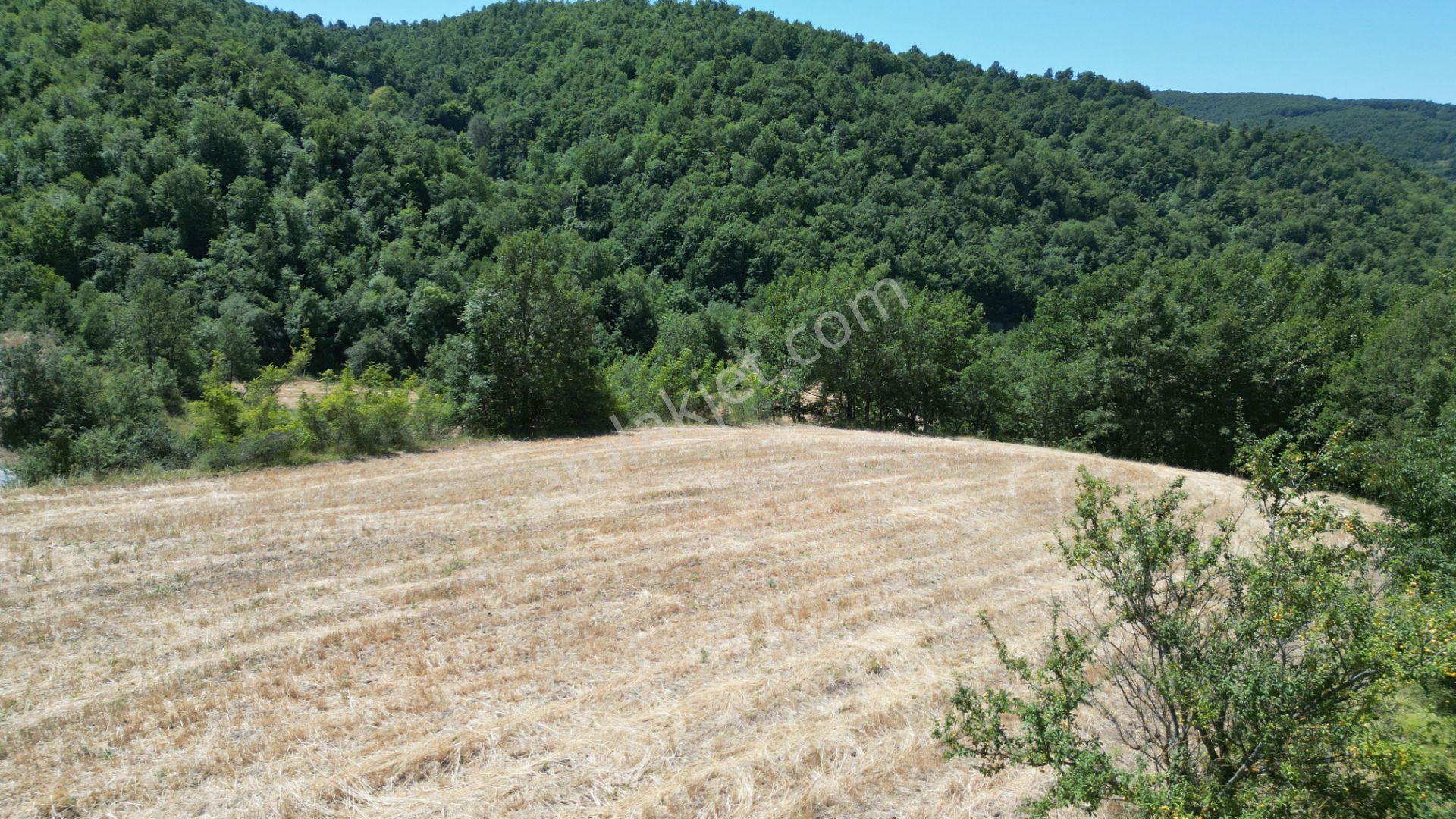 Kocaeli Karamürsel Avcıköy Satılık Tarla 8791 M2 - Görsel 14