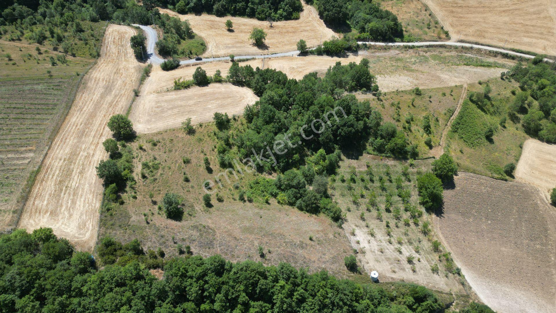 Kocaeli Karamürsel Avcıköy Satılık Tarla 8791 M2 - Görsel 4