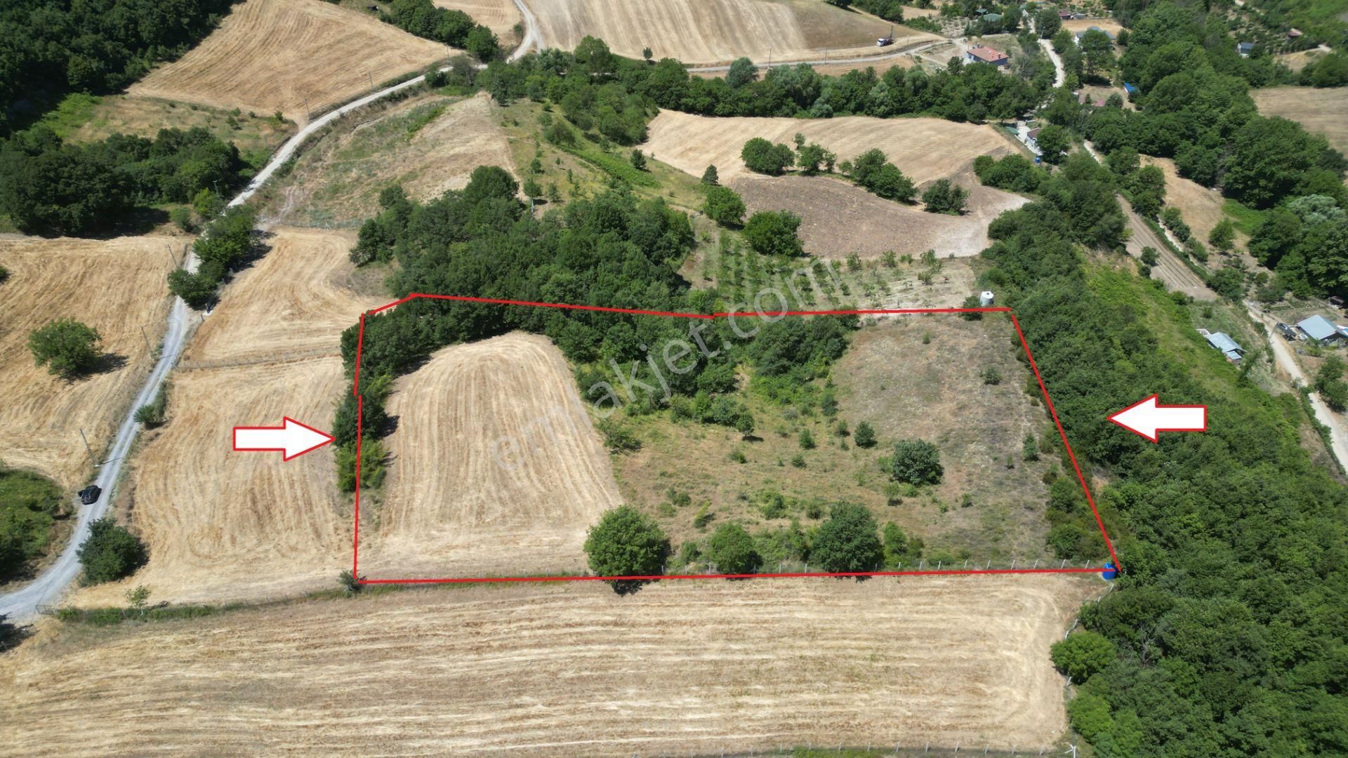Kocaeli Karamürsel Avcıköy Satılık Tarla 8791 M2