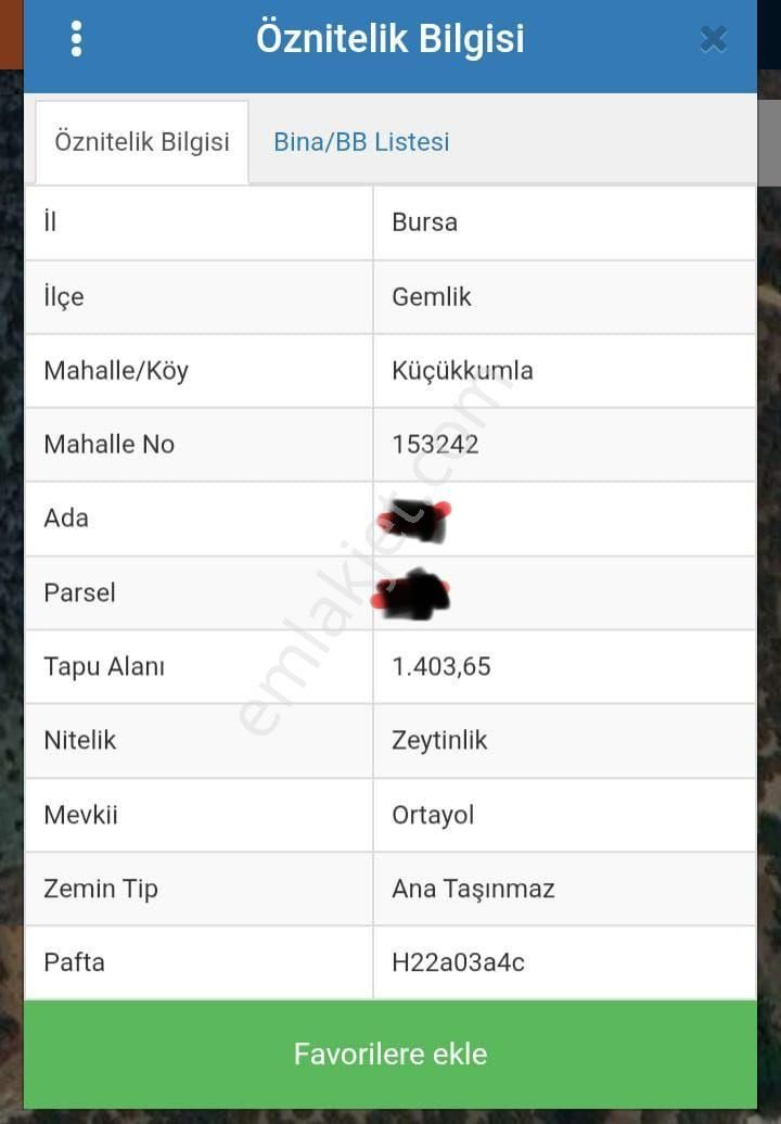 Küçük Kumla Haydariye Yolu Üzerinde Satılık Zeytinlik - Görsel 4