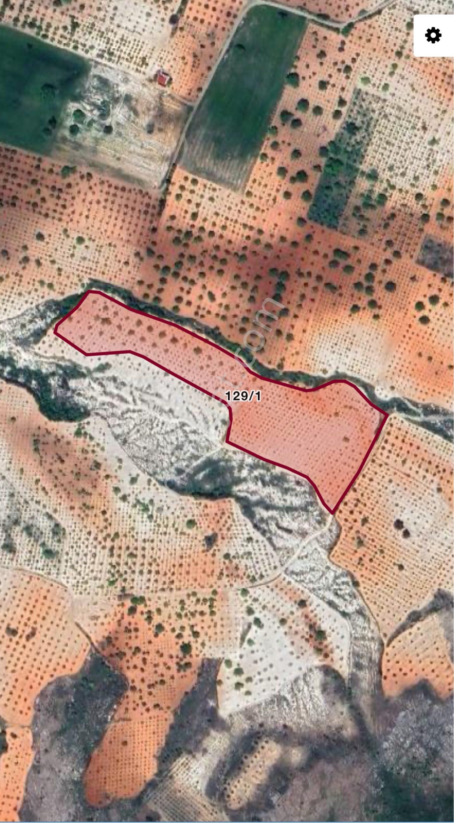Çakal(damlacık) Mah Satılık Bağ & Bahçe