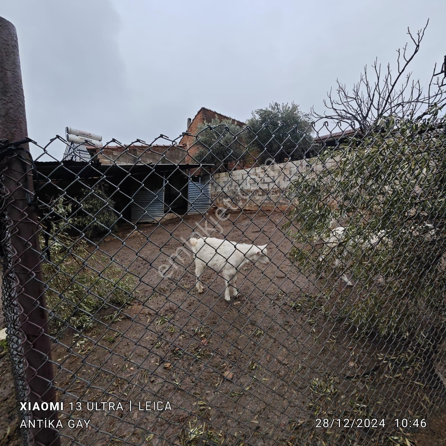 Antika Gayrimenkul'den Kaymakçı Mahallesin'de Kiralık Müstakilev - Görsel 13